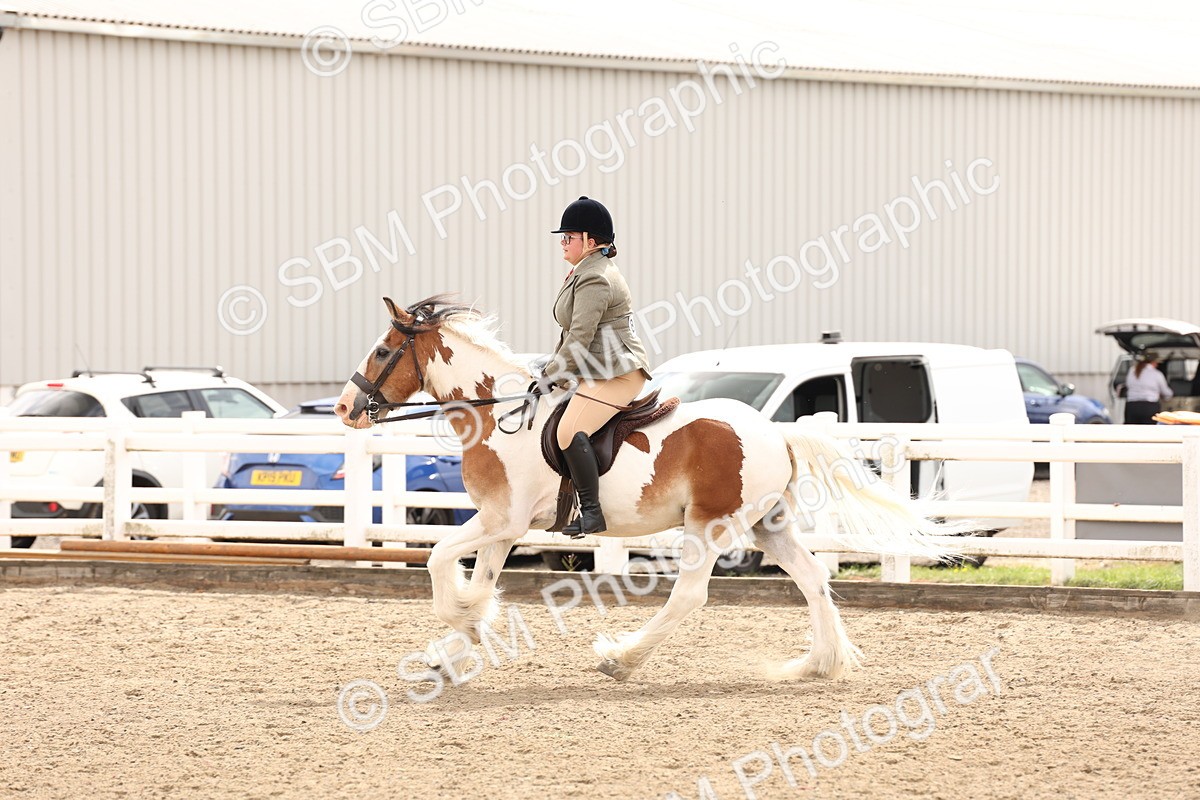 SBM_05199 - Class 56b -  Style & Performance - 50cm (20+)