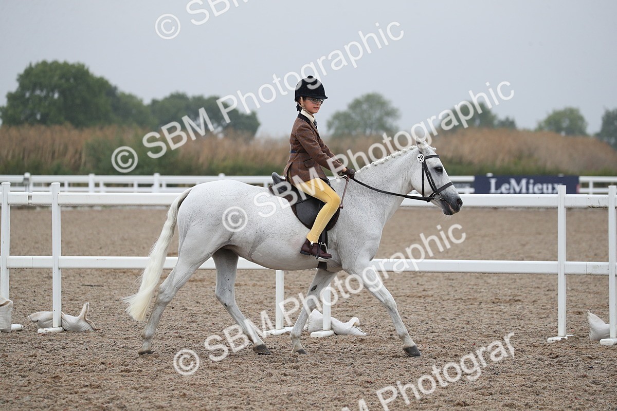 SBM_21541 - Class 602 - 2025 Area - Ridden Veteran