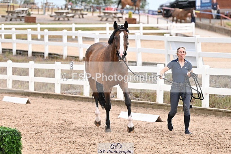 250716-151234-01771 - Trot Up 2.30 to 3.30