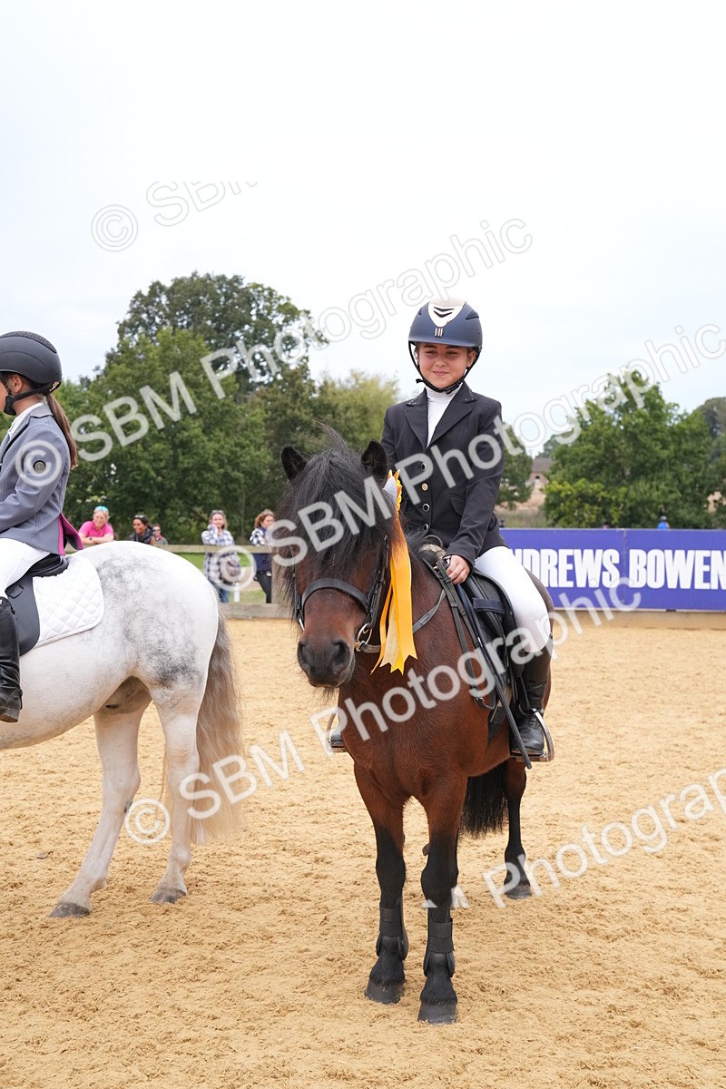 SBM_71782 - J3 - Mini Tour Junior Pony 40cm Championship