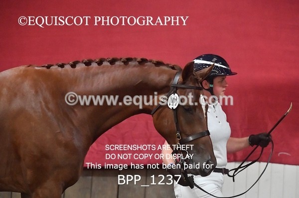 BPP_1237 - MORNING 9AM - 12PM