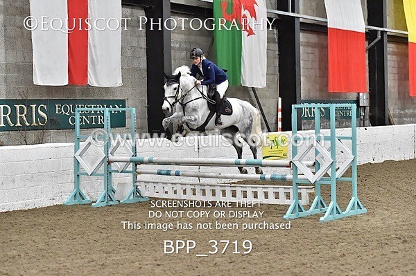 BPP_3719 - FRI CLASS 21 BR NOVICE/90CM