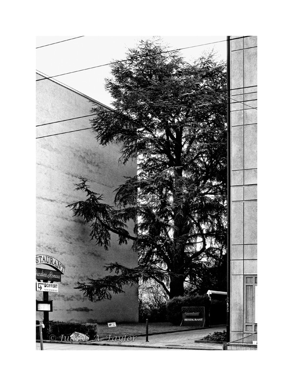 Geneva rue de St Jean