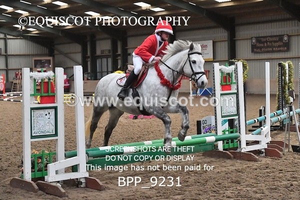 BPP_9231 - CLASS 4 50CM Novice Show Jumping