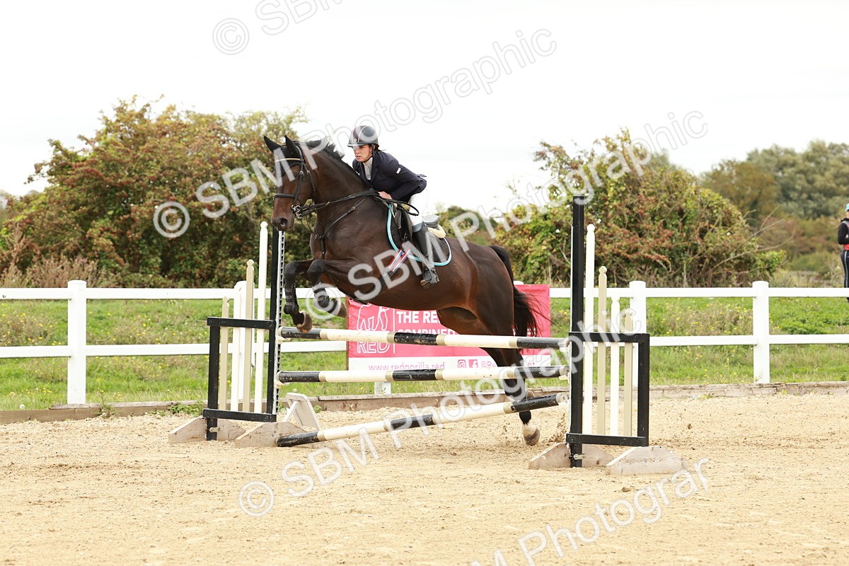 1I0A6953 - Class 2 - Senior British Novice