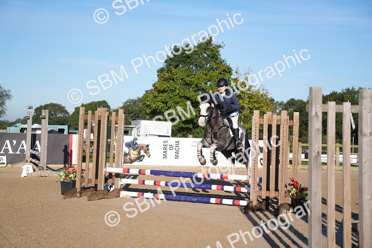 SBM_13981 - J59 - Clear Round - 65cm