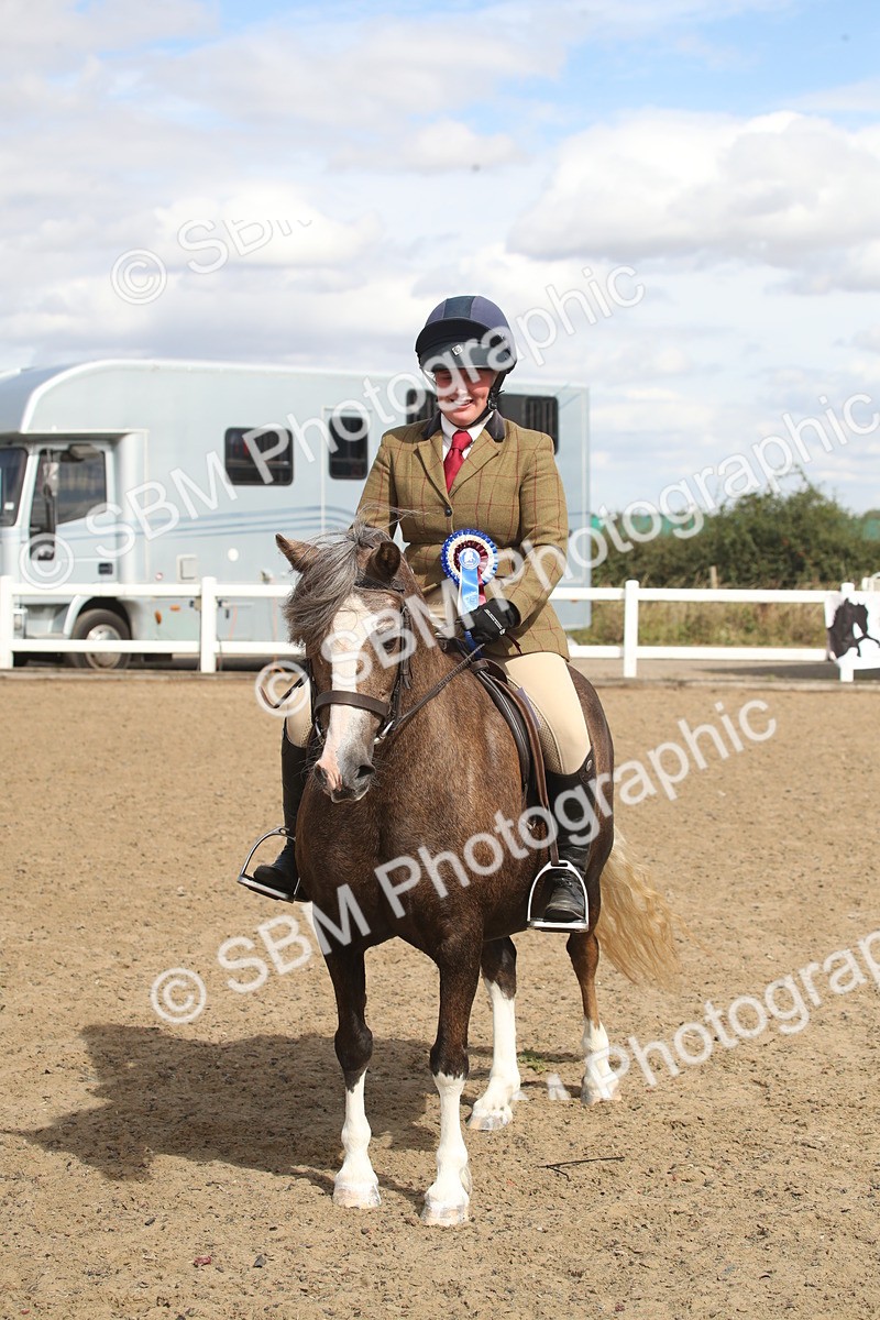 SBM_15184 - Class 505b - M&M Working Veteran - 50cm (20+)