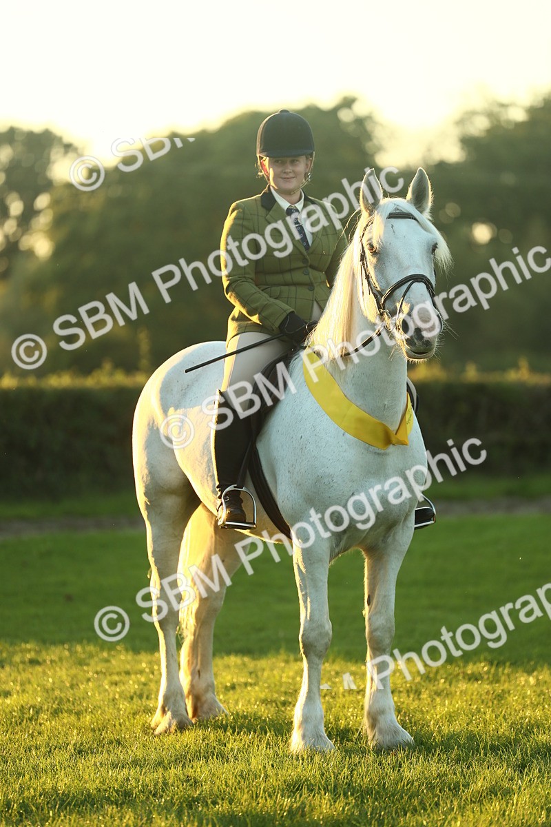 SBM_56633 - Fun & Versatile Supreme Championship