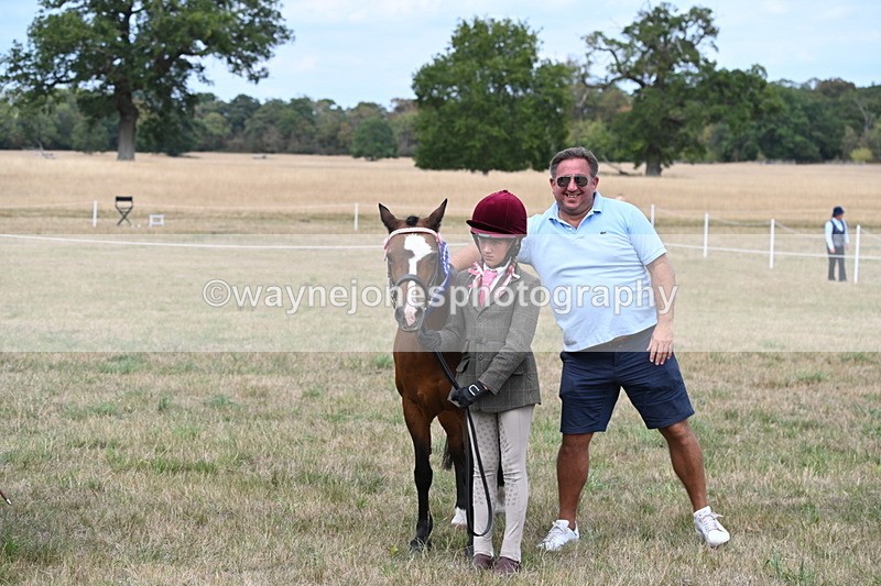 WJ6_6275 - Class 19 In-hand Veterans (Uploaded correct folder)