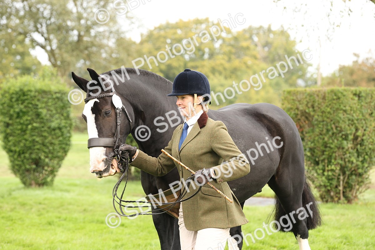 SBM_57513 - S56 - Show Cob in Hand