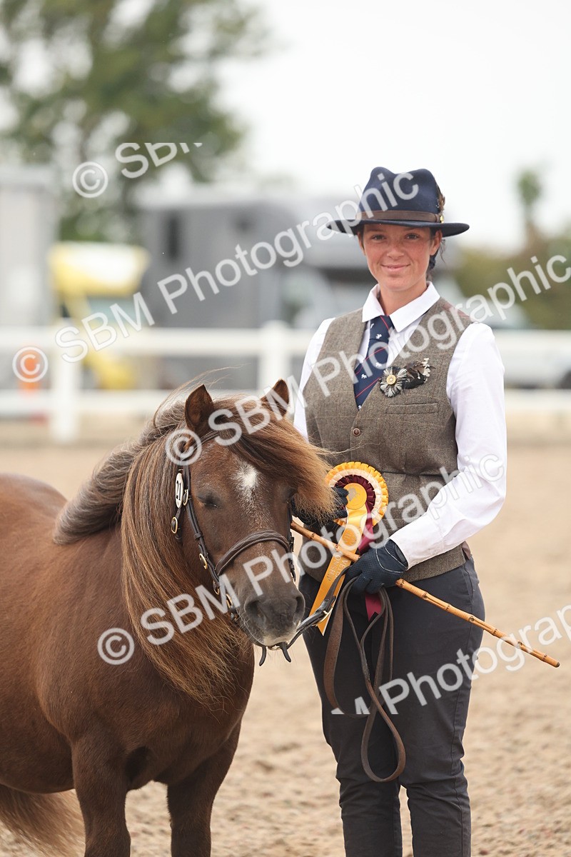 SBM_19442 - Class 317 - IH Pure Bred Horse-Pony