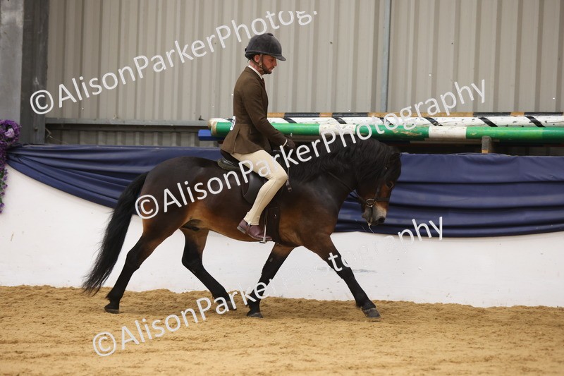 20260913-0606 - Class 126 - Novice Ridden