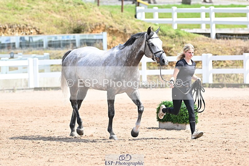 240717A-150906-02582 - Trot Up 3pm to 4pm