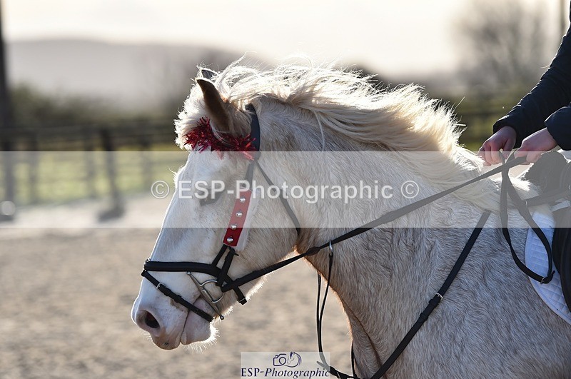 231210-124326-00572 - Cls 4 60cm