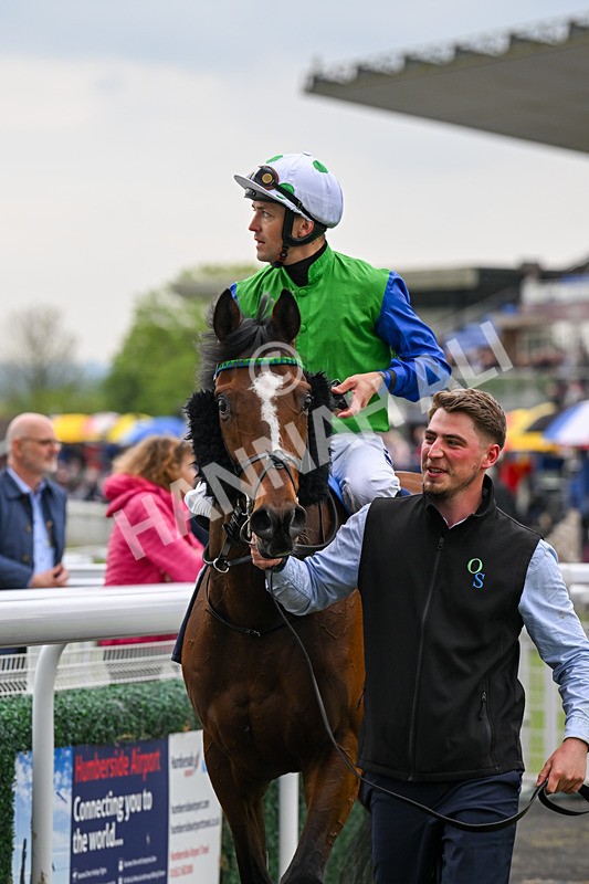 140524-Race 7-Spartan Warrior-3237 - Race 7