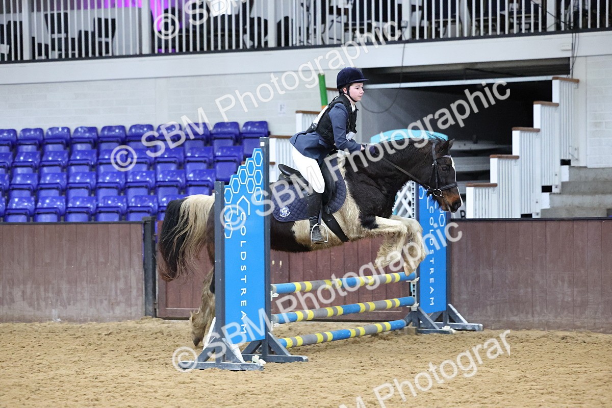 SBM_001188 - Class 3 - Christmas Tree Stakes - 60cm