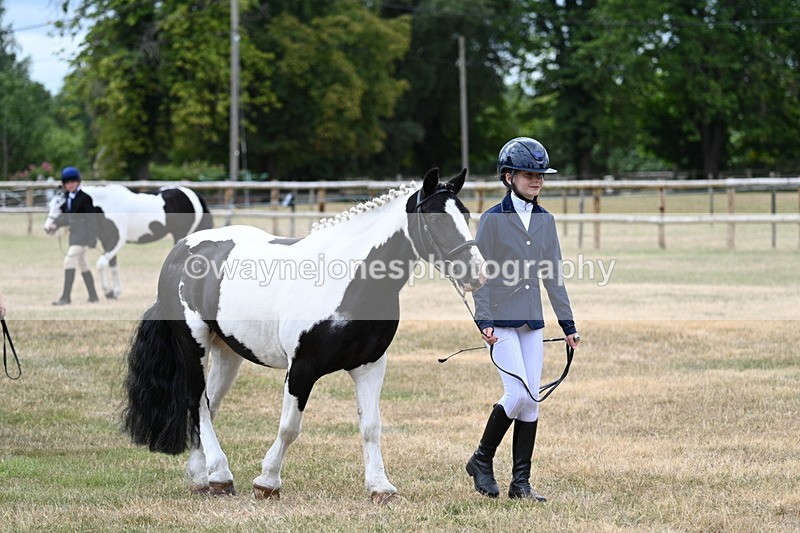 WJ7_1436 - Class 4 Prettiest Mare up to 14.2hh in hand