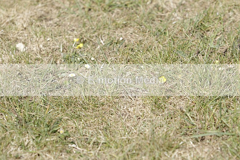 BVHT 140517 I-710 - Class 1 SJ Intermediate 14/05/17