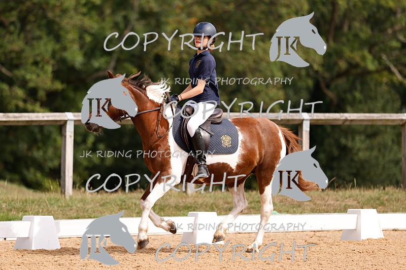 _R6A2333 - Dressage Morning