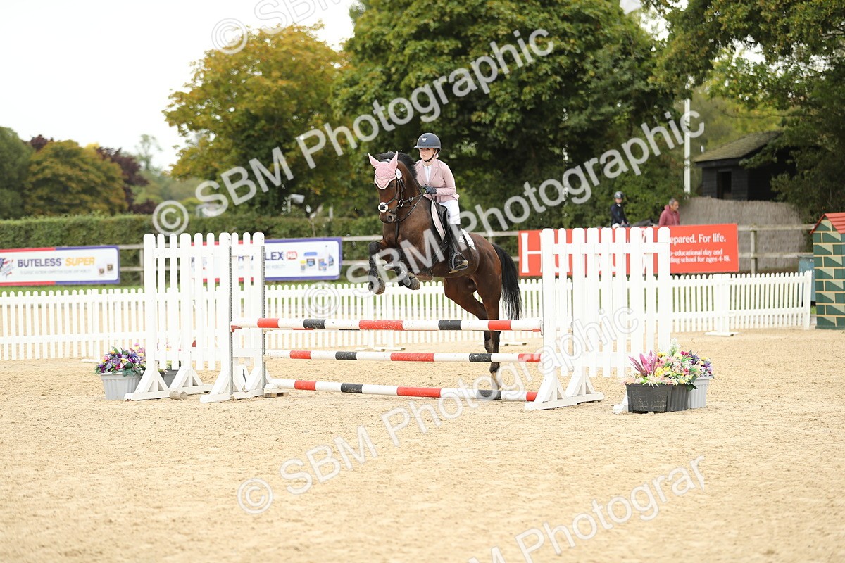 SBM_63140 - Supreme championship 75cm 80cm