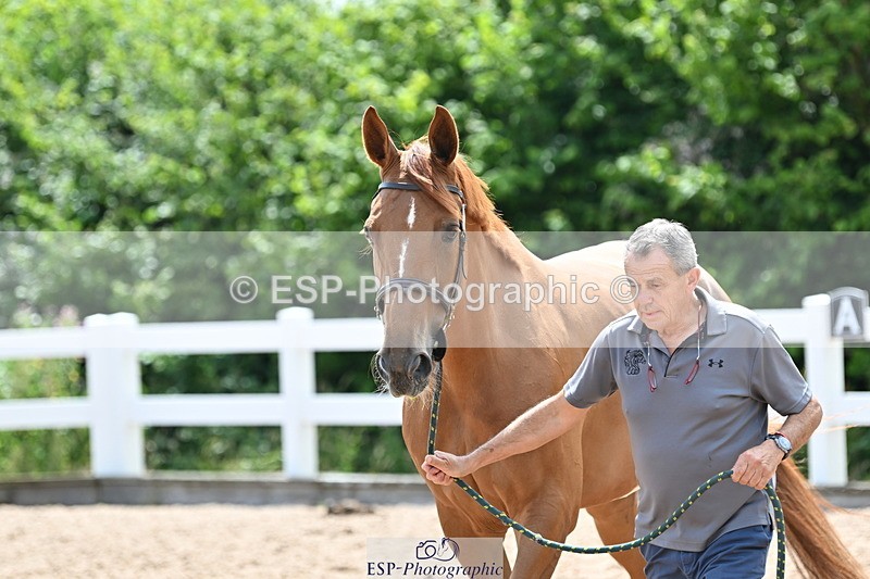 240717A-144527-02267 - Trot Up 2pm to 3pm - This folder is not in time order