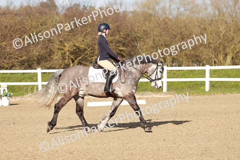 20260314-5407 - DR4 - Prelim 2