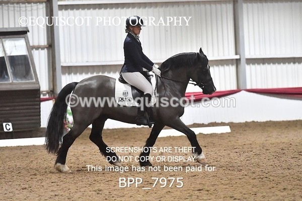 BPP_7975 - ELEM TEST 6