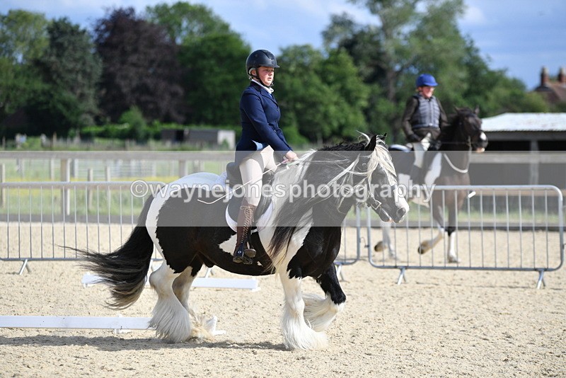 WJ5_7731 - Time 16:40 to 16:55