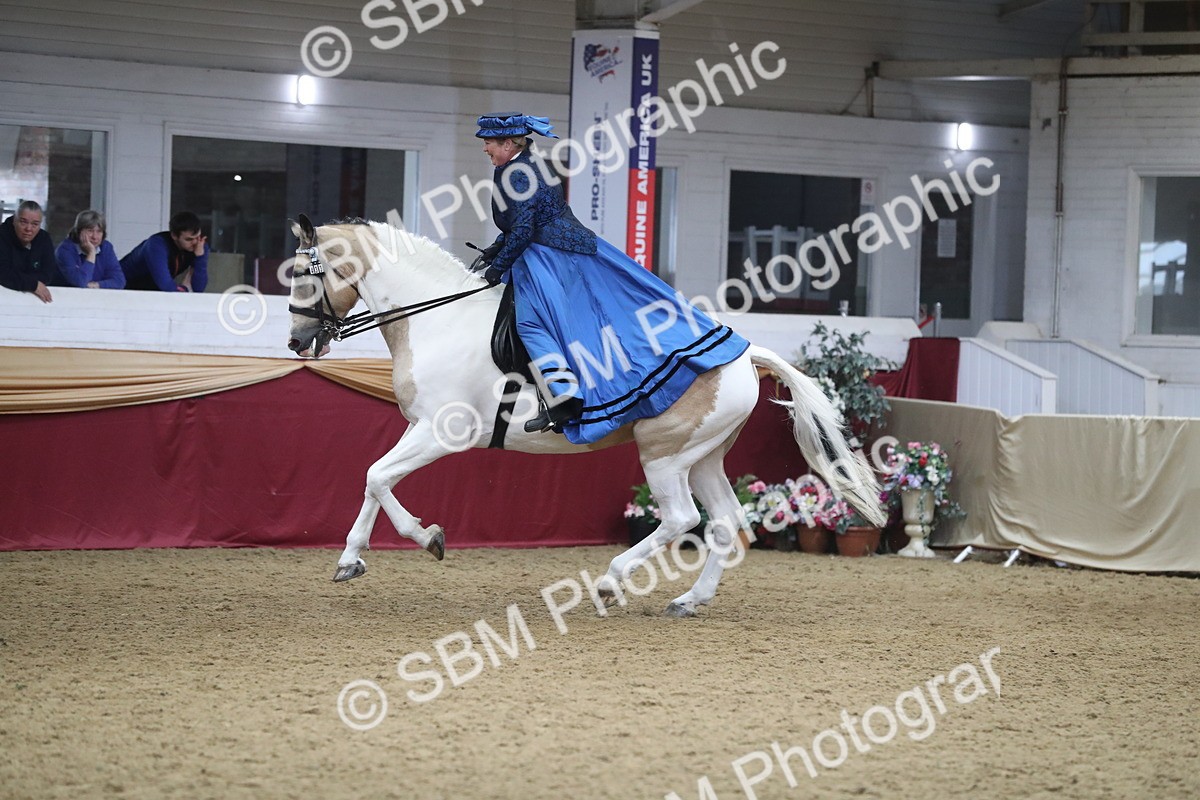 SBM_12042 - Class 106 Ridden Costume- Astride Adult (15-19)