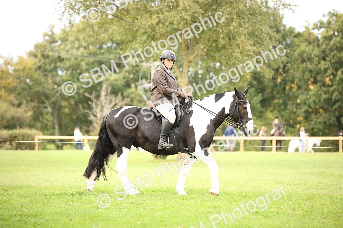 SBM_72343 - S67 - Show Cob Ridden