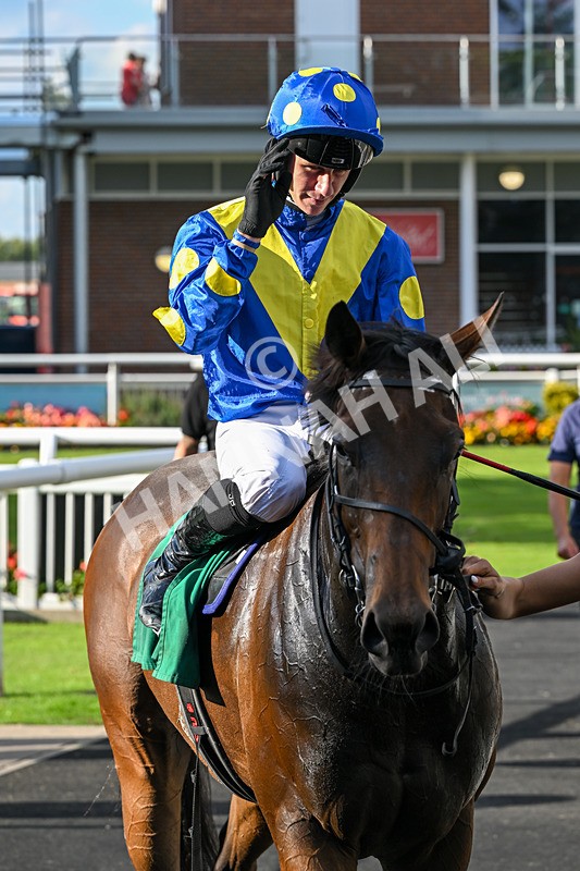 140926-Race 5-Mo Anam Chara-7628 - Race 5 4.21pm decronhorsecare.co.uk Handicap