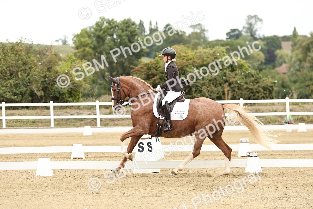 SBM_006548 - Class 21 - Medium 5 Bronze - 9.08-9.48