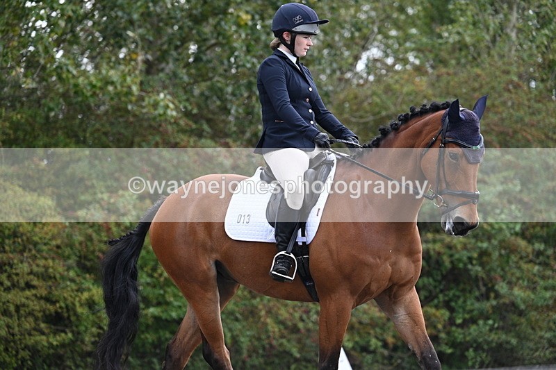 WJ7_3382 - Time 09:54 to 10:54