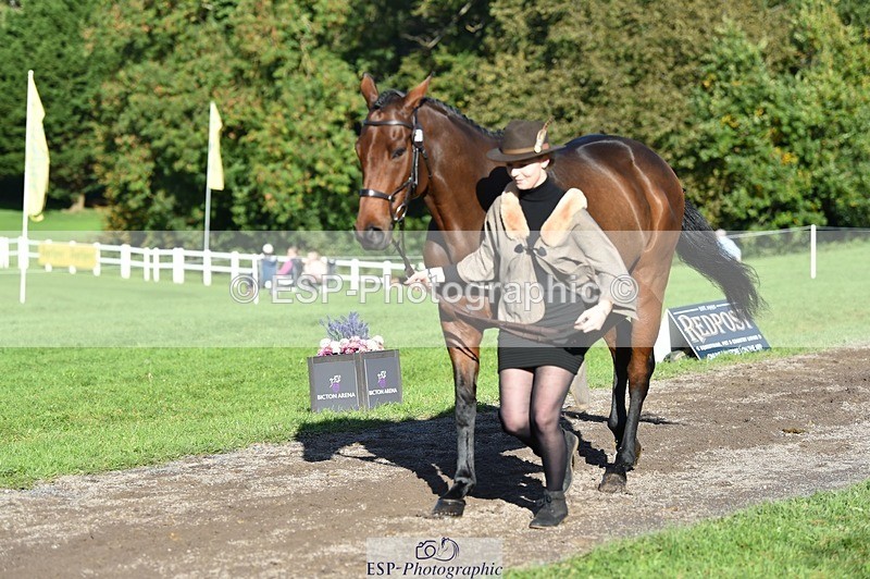 231022-105722-23619 - 501-LA.BASS-Aimee.Bickley-TrotUp+SJ