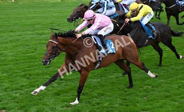 210825-084 Bullet Point - Race 3 3.00pm Clipper Handicap