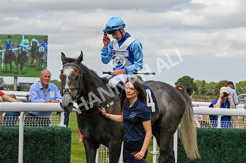 140824-Race 5-Havana Blue-6728 - Race 5