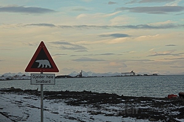 Longyearbyen Traffic sign 6549 - Autumn