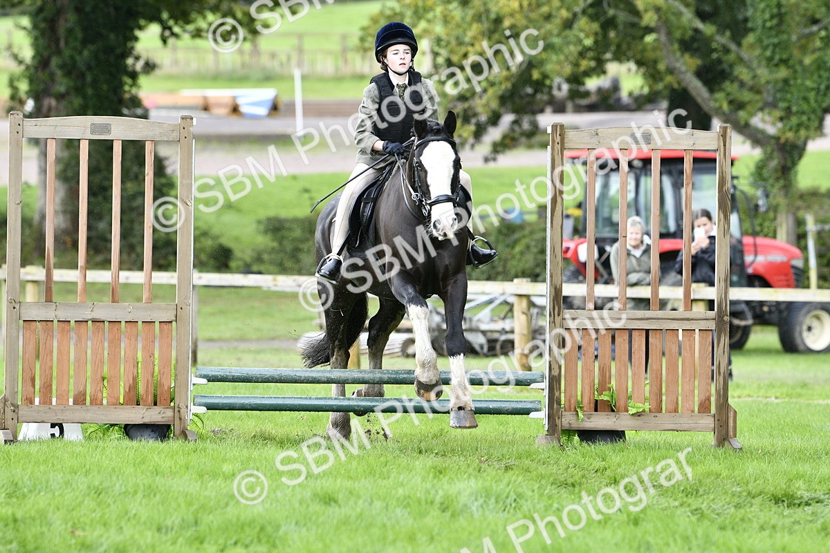 SBM_41495 - S32 - Mountain & Moorland Working Hunter Pony