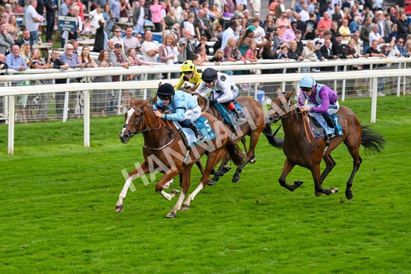 080925-Race 6-Rhapsody-7779 - Race 6 5.00pm Sky Bet Build A Bet Fillies' Handicap