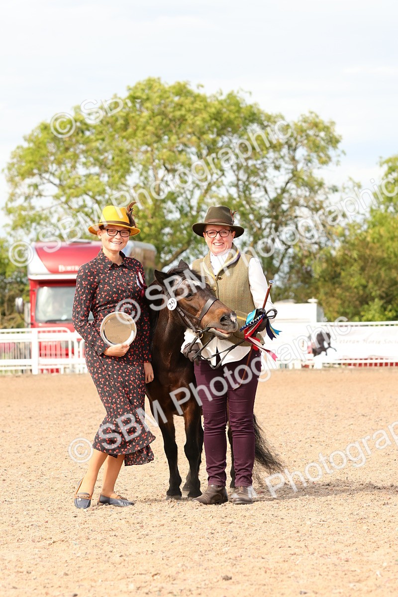 SBM_18050 - Class 707 - IH Groom - Helpers Glass