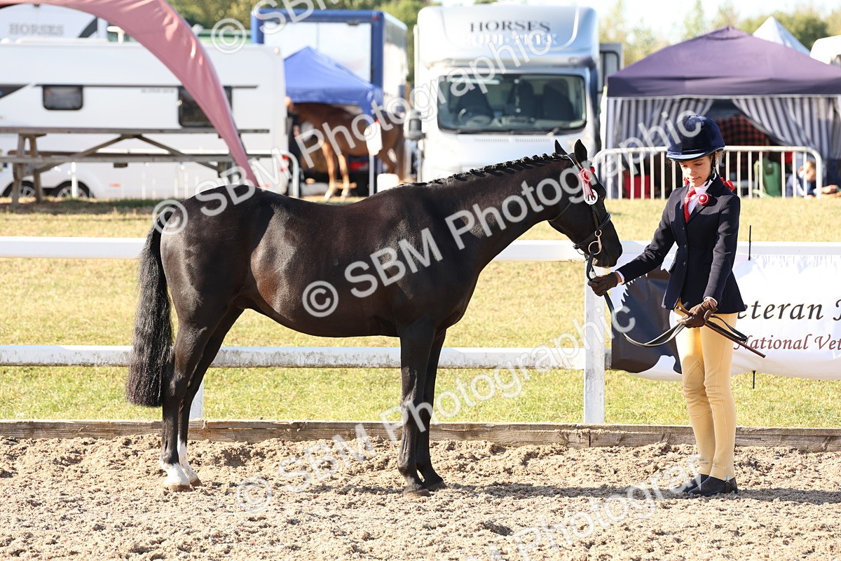 SBM_11662 - Class 203 - Young Handler 11 to 16 years