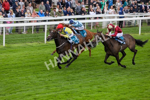 120724-Race 4-Karmology-1729 - Race 4 3.50pm Azets Handicap