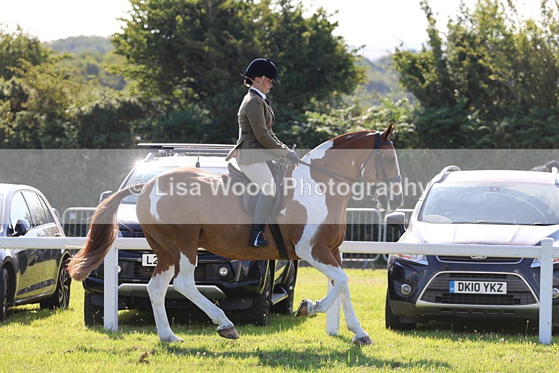 IMG_1434 - Class 29:  Ridden Native/Trad Coloured Horse