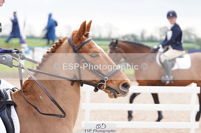 250419-142452-11264 - 764-Eve.Nicholas-SHOCKWAVES