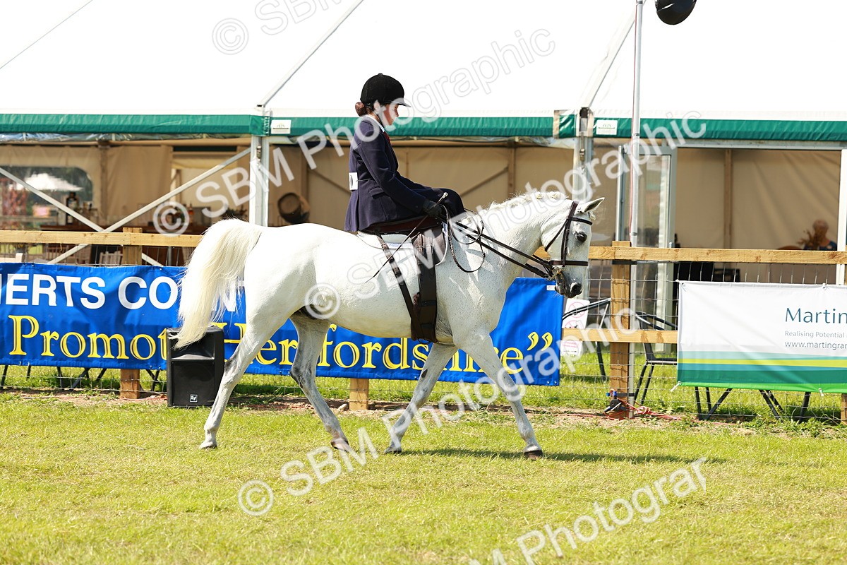 SBM_13306 - Class 70-71 - Side Saddle