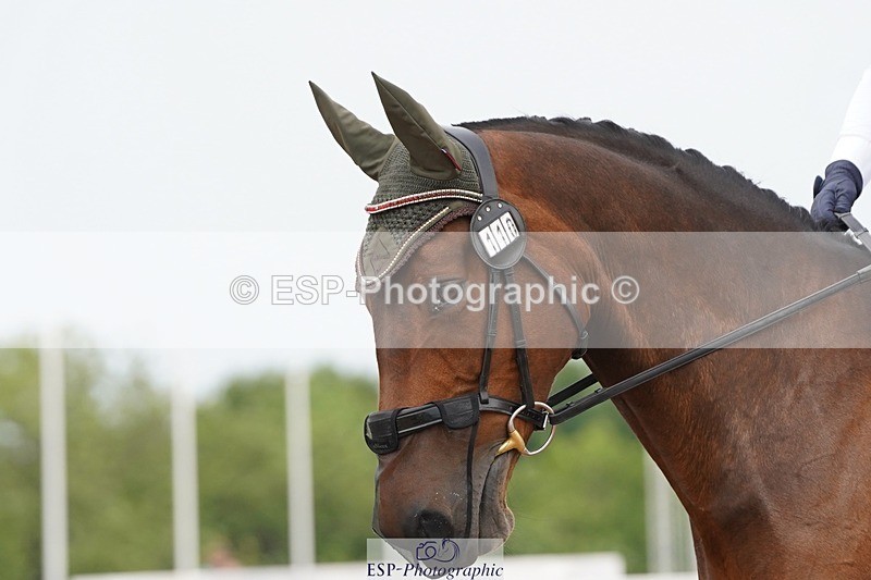 250621-104814-05723 - Quest Cls 7-11, Prelim All