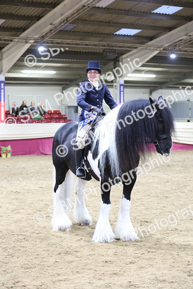 SBM_20886 - Class L - Coloured Champ