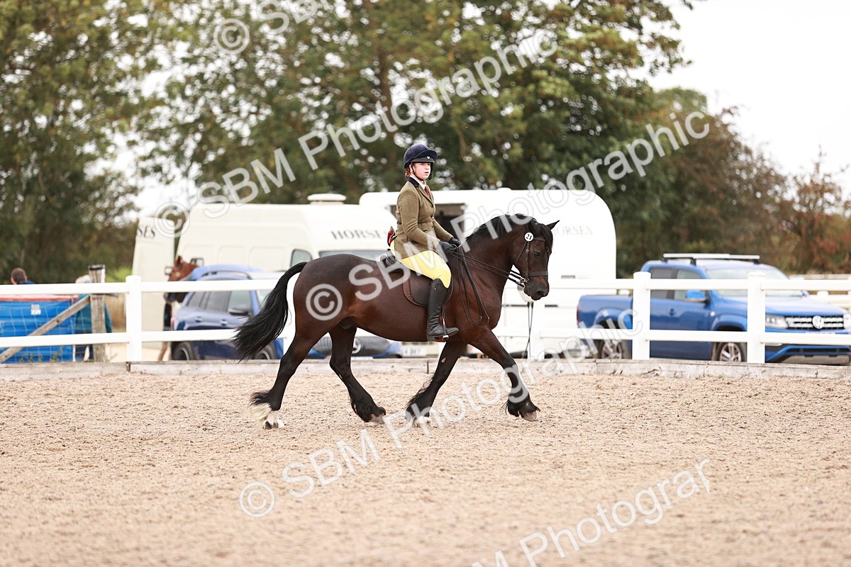 SBM_19051 - Class 422 - Ridden M&M