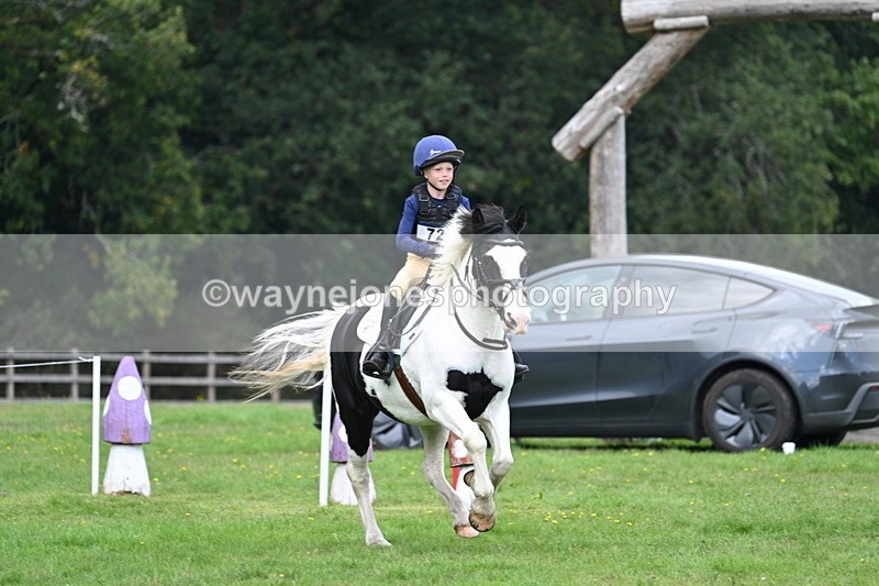 WJ7_4248 - 60cm Time 10:52 to 11:02