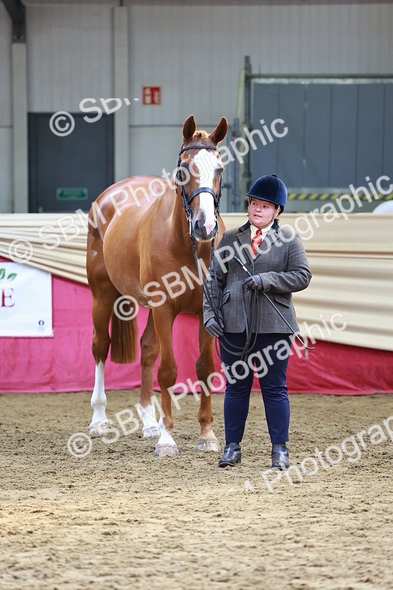 SBM_23118 - Class 903 - Supreme Final - IH Pre Vet